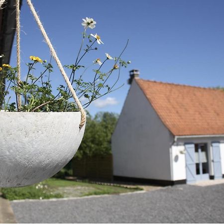 A L'Ombre Du Prunier Bed & Breakfast Licques Luaran gambar